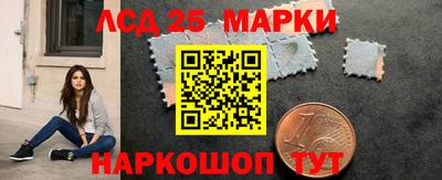 мяу мяу мука Нальчик